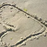Strandlaeufer
