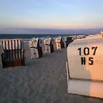 Strandlaeufer