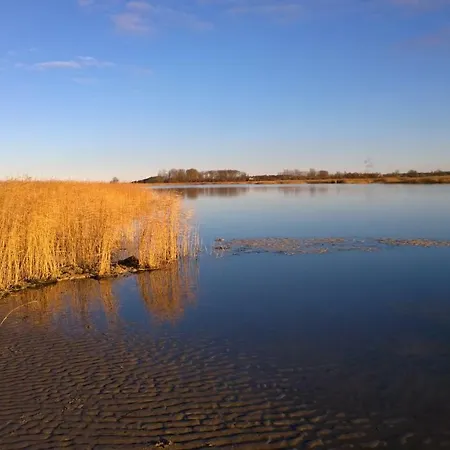 Strandlaeufer