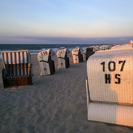 Strandlaeufer
