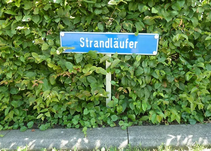 Strandlaeufer Ostseebad Kühlungsborn