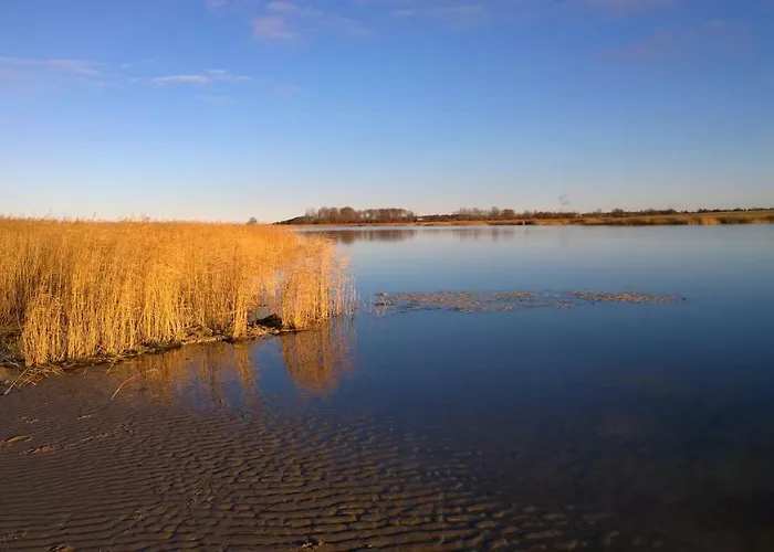 Strandlaeufer
